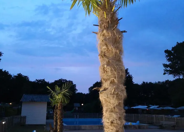 Recreatiepark Maas En Bos فيليلويْ