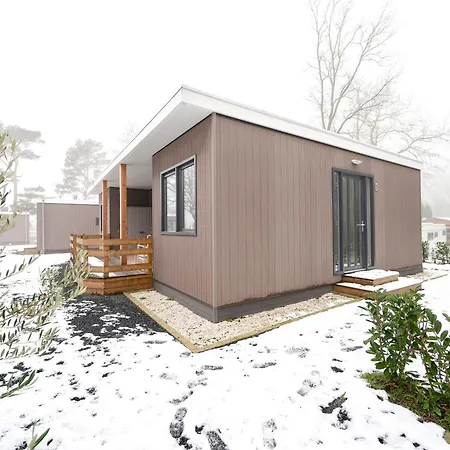 Recreatiepark Maas En Bos Semesterbostad Wellerlooi