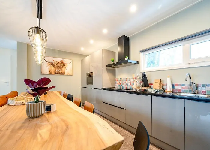 Recreatiepark Maas En Bos 펜션 벨러루이