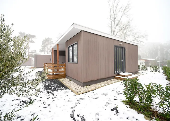 Recreatiepark Maas En Bos 펜션 벨러루이